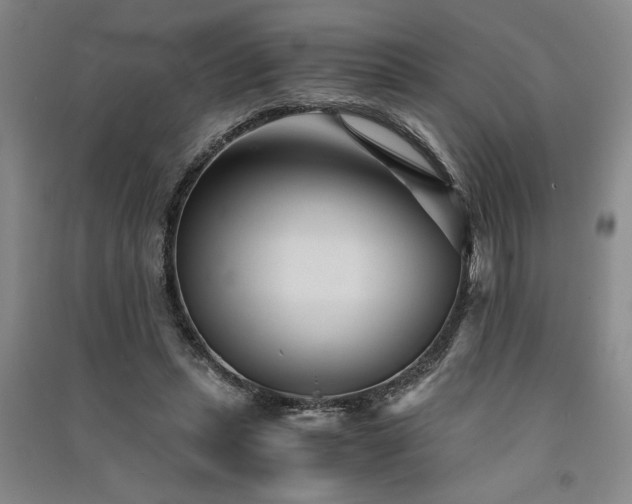 X0000091520447200708171220