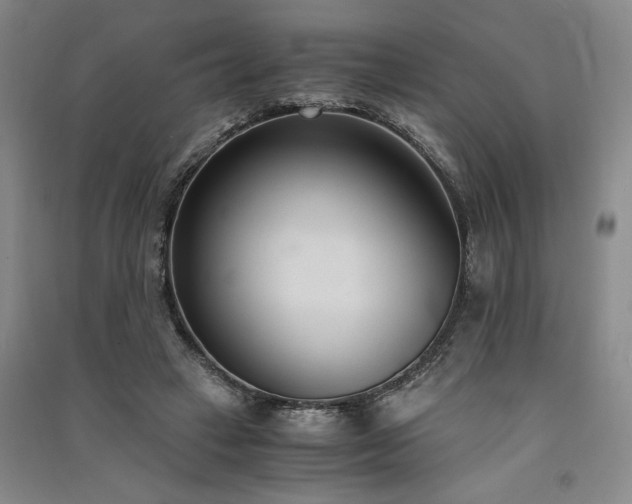 X0000091520449200708171220