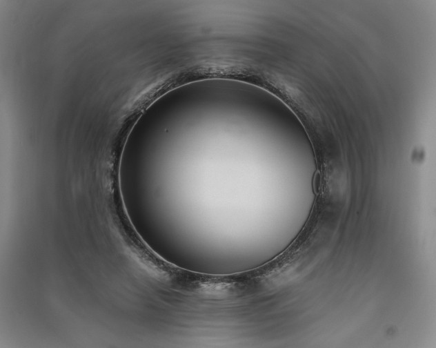 X0000091520450200708171220