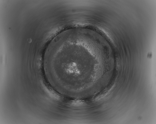 X0000091520451200708171220