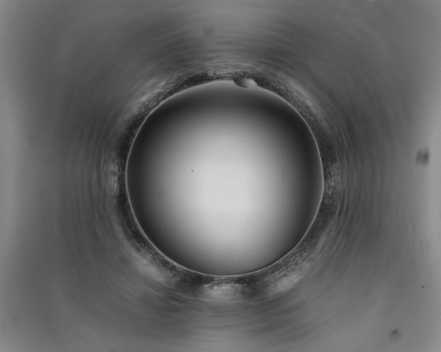 X0000091520452200708171220