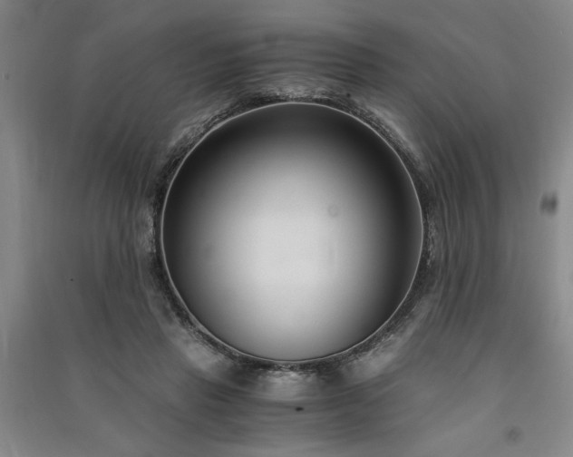 X0000091520453200708171220