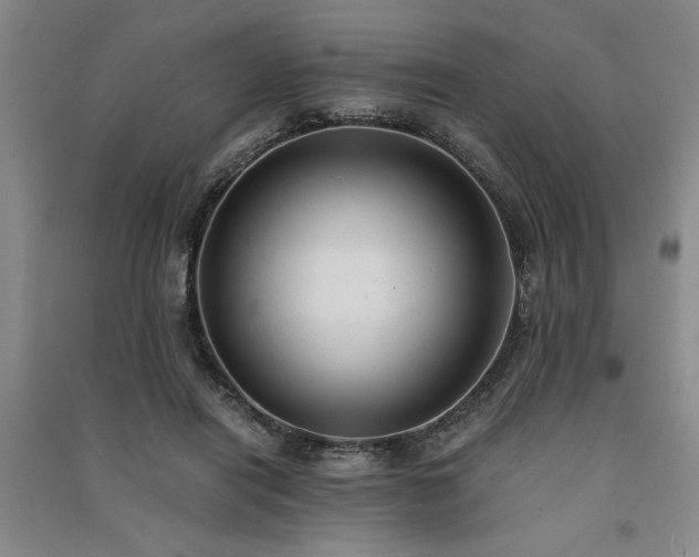 X0000091520454200708171220