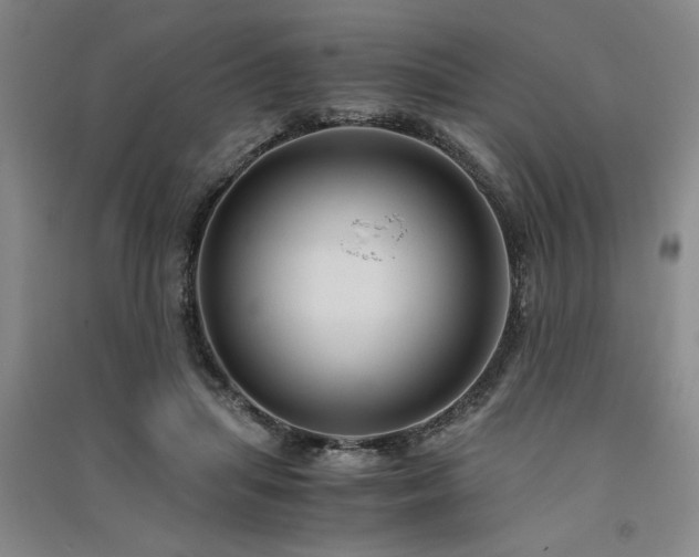 X0000091520455200708171220