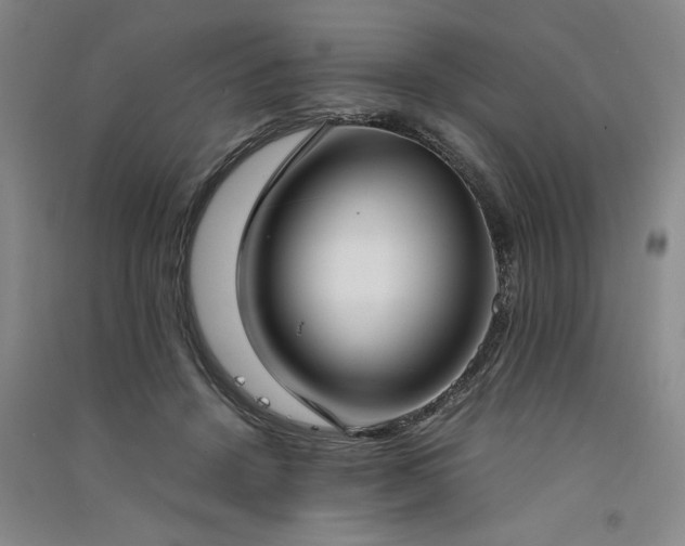 X0000091520456200708171220