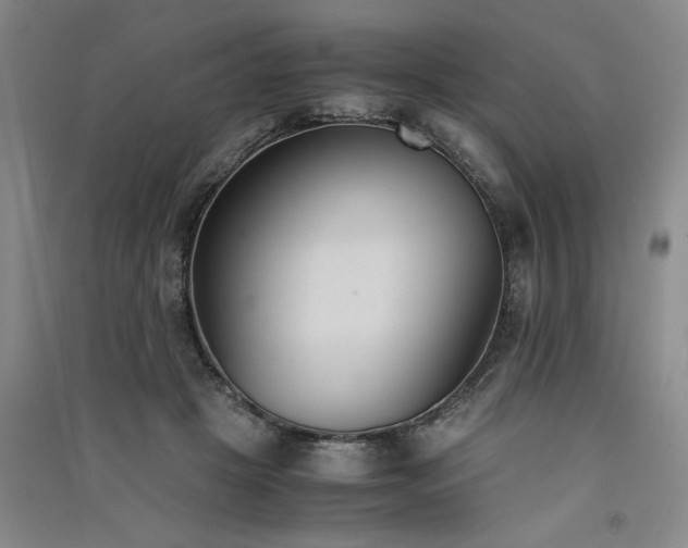 X0000091520457200708171220