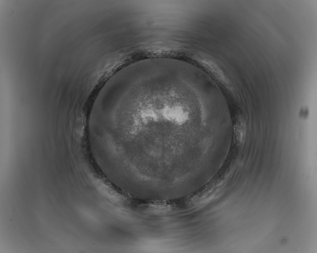 X0000091520458200708171220
