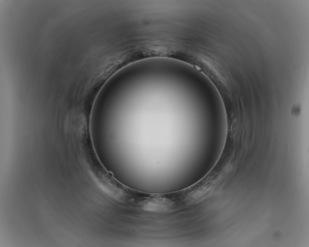 X0000091520459200708171220