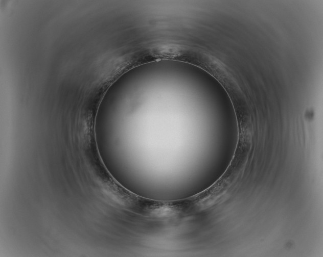 X0000091520460200708171220