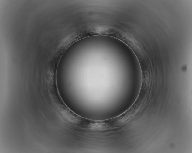 X0000091520461200708171220