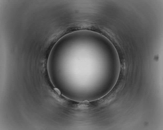 X0000091520462200708171220