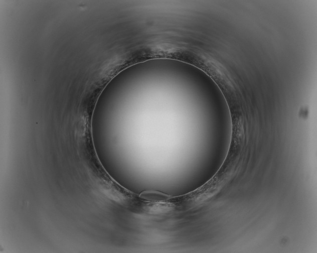 X0000091520463200708171220