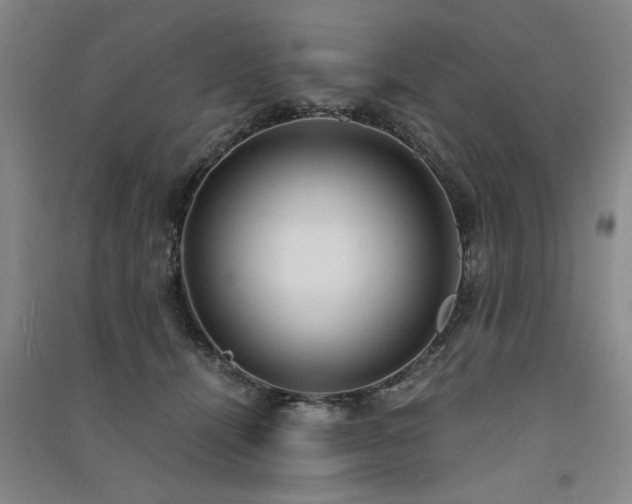 X0000091520464200708171220