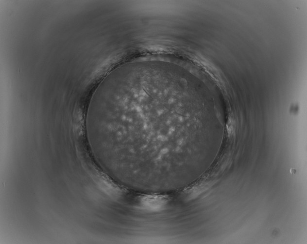 X0000091520465200708171220