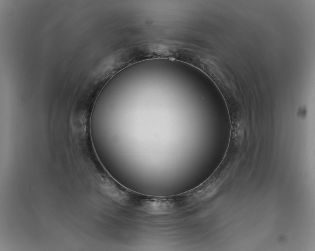 X0000091520466200708171220
