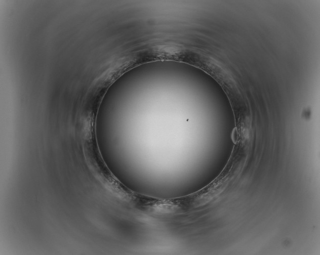 X0000091520468200708171220