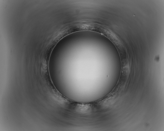 X0000091520469200708171220