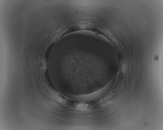 X0000091520471200708171220