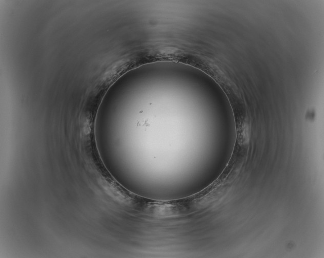 X0000091520472200708171220