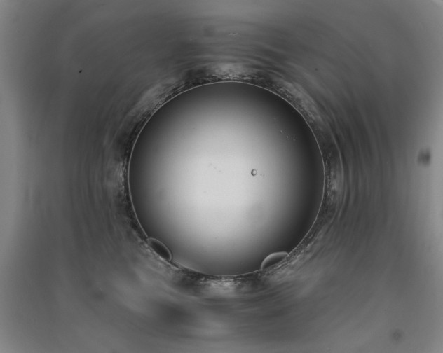 X0000091520473200708171220