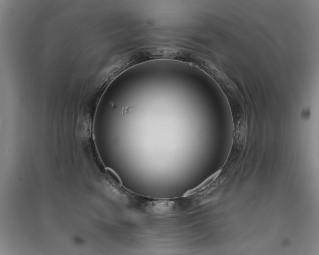 X0000091520474200708171220