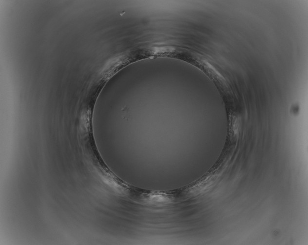 X0000091520475200708171220