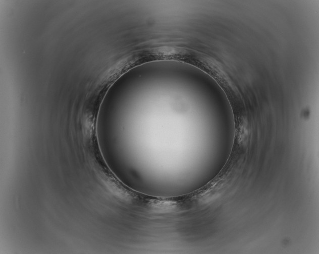 X0000091520476200708171220