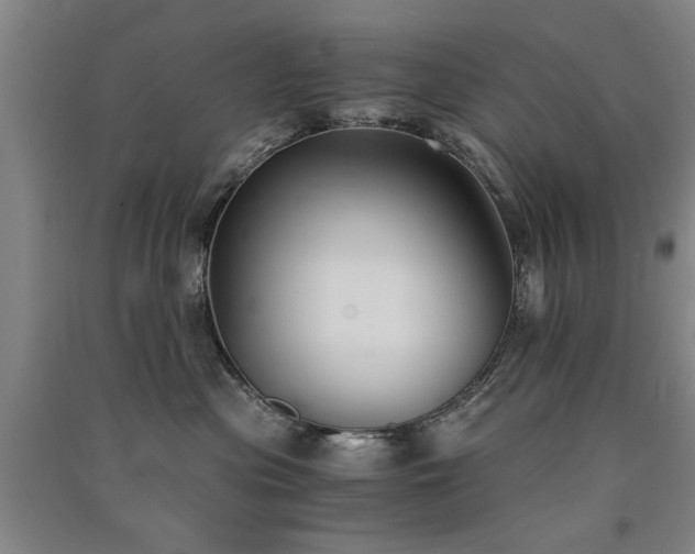 X0000091520477200708171220