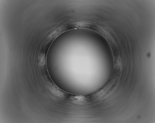 X0000091520478200708171220