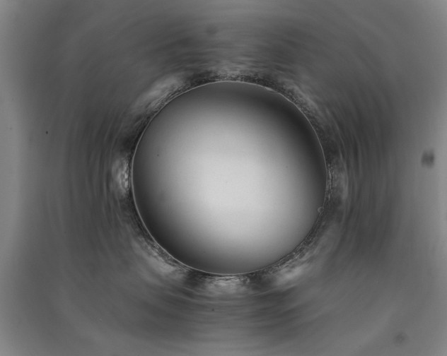 X0000091520479200708171220