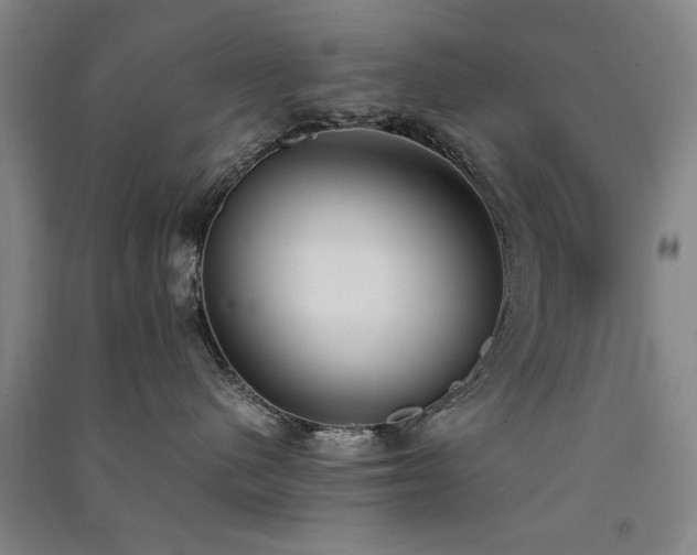 X0000091520480200708171220
