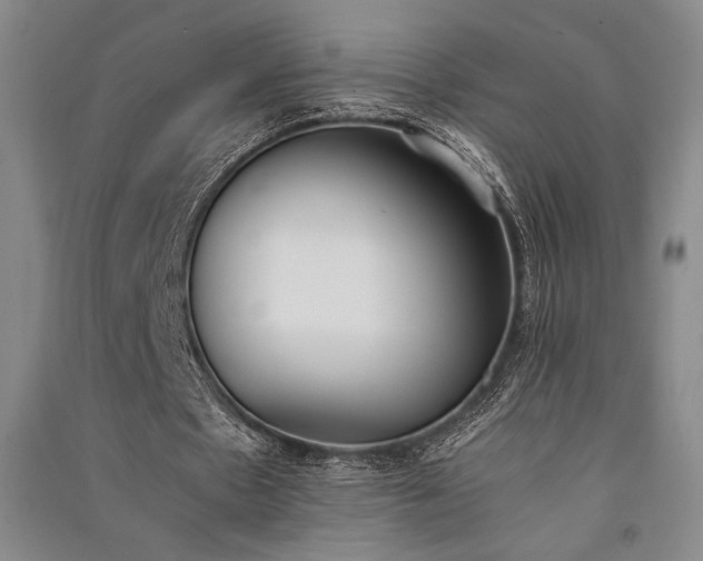 X0000091520481200708171219