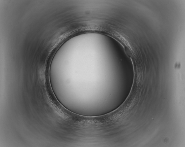 X0000091520482200708171219