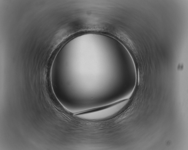 X0000091520483200708171219