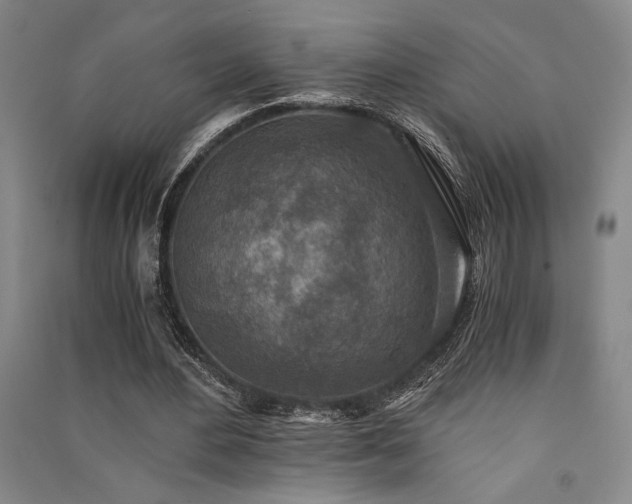 X0000091520484200708171219