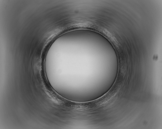X0000091520486200708171219