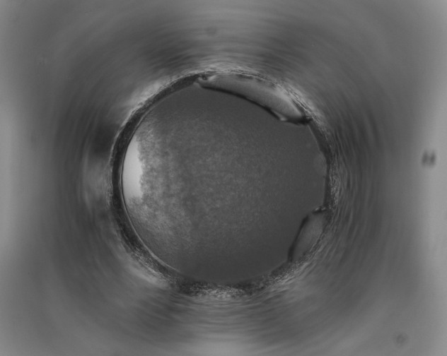 X0000091520488200708171219