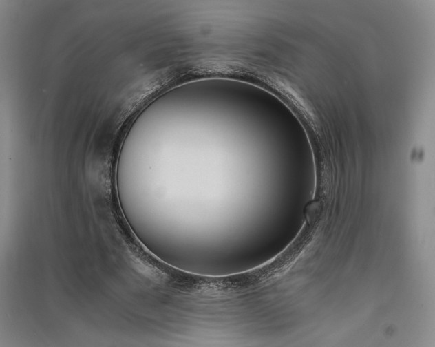 X0000091520489200708171219