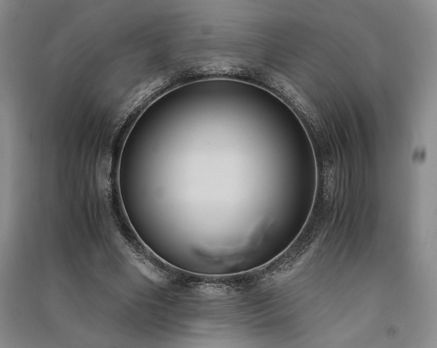X0000091520490200708171219