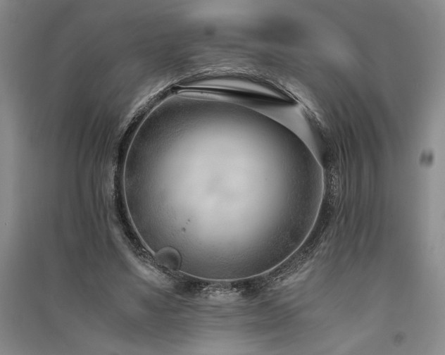 X0000091520491200708171219