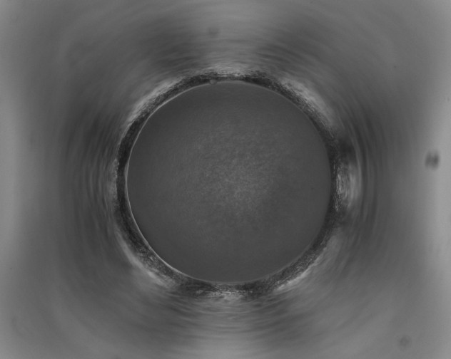 X0000091520492200708171219