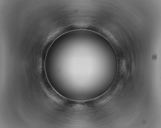 X0000091520494200708171219