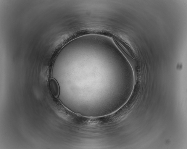 X0000091520495200708171219