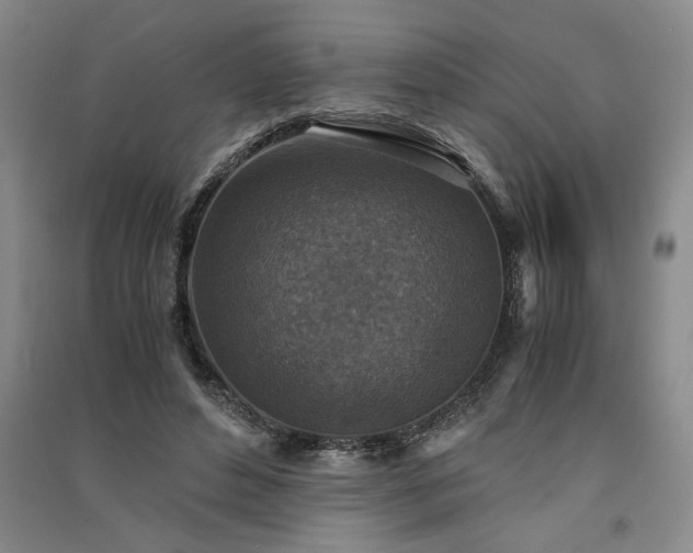 X0000091520496200708171219
