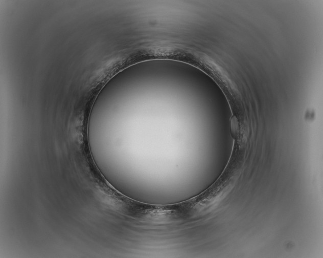 X0000091520497200708171219