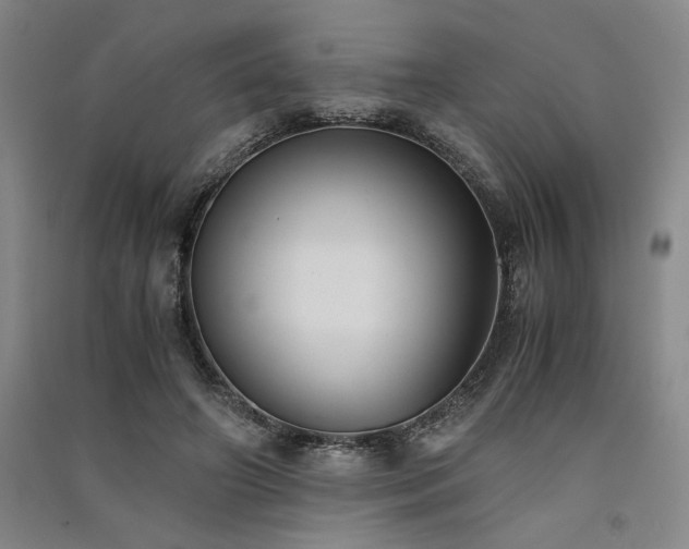X0000091520498200708171219
