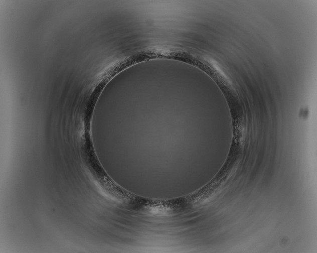 X0000091520500200708171219