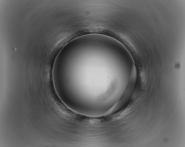 X0000091520501200708171219