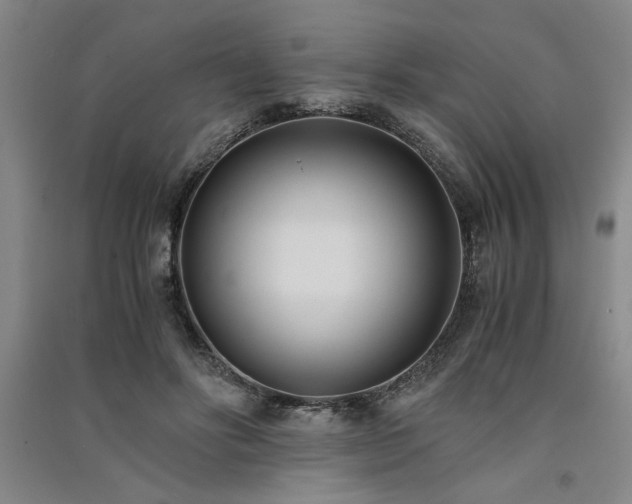 X0000091520502200708171219