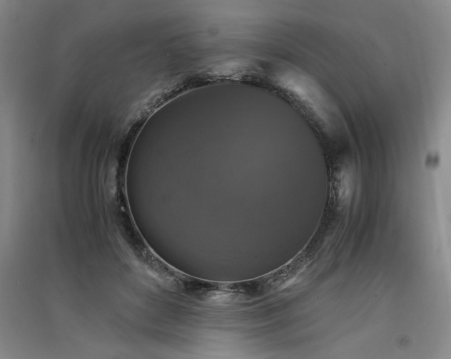 X0000091520504200708171219